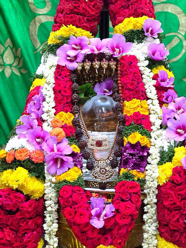 LAGHUNYASA EKAVAARA RUDRABHISHEKAM — photo 10 of 10
