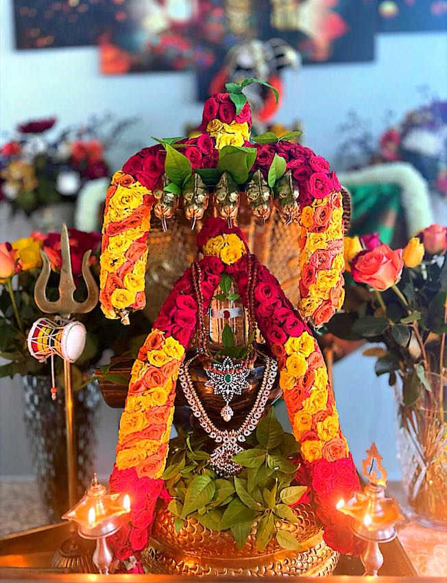 LAGHUNYASA EKAVAARA RUDRABHISHEKAM — photo 5 of 10