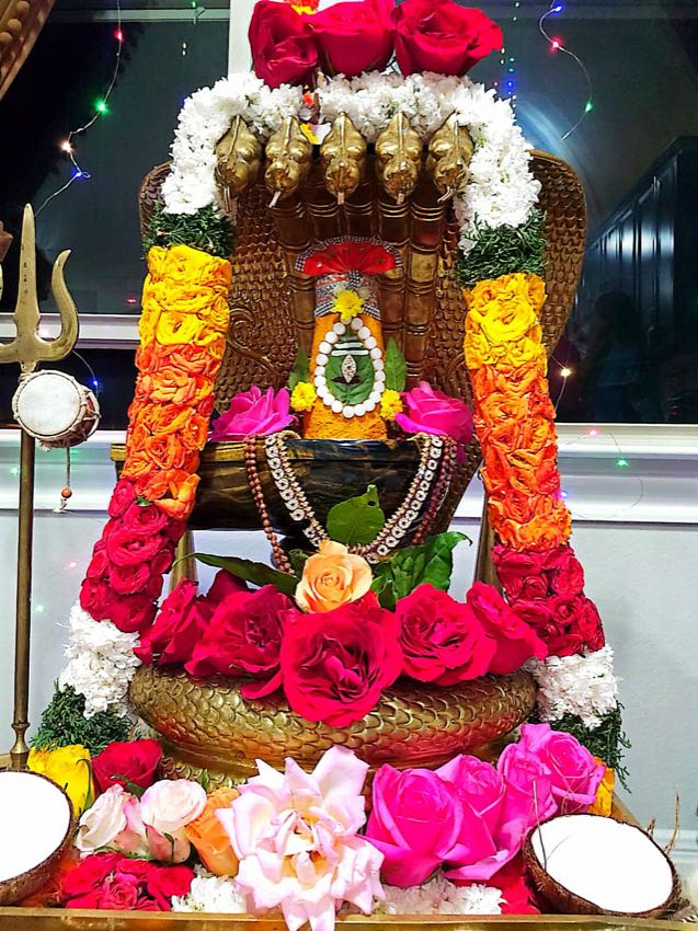 MAHANYASA PURVAKA EKADASA RUDRABHISHEKAM — photo 3 of 10