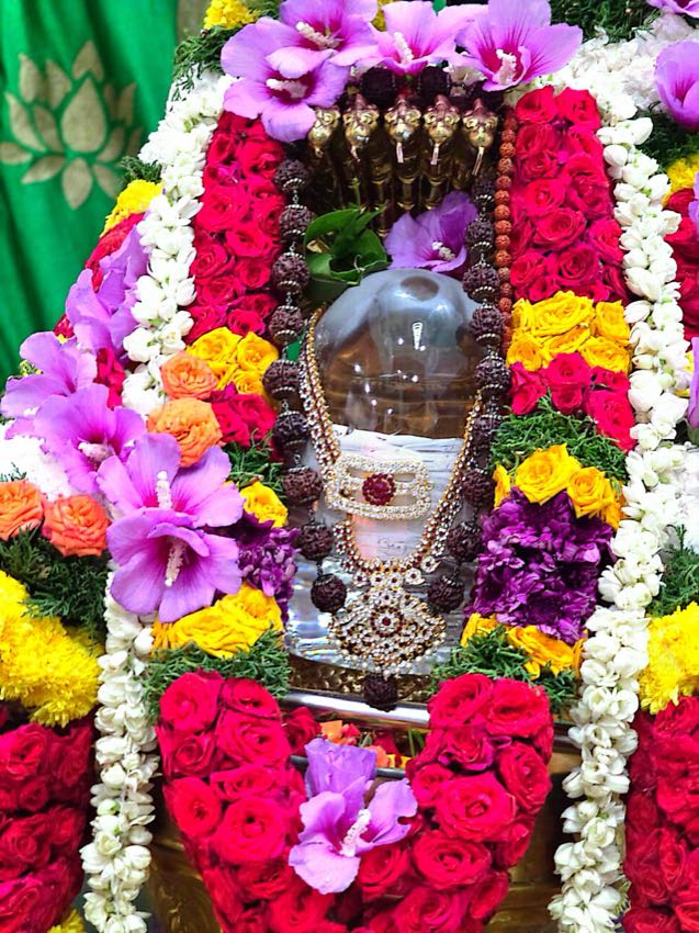 MAHANYASA PURVAKA EKADASA RUDRABHISHEKAM — photo 4 of 10