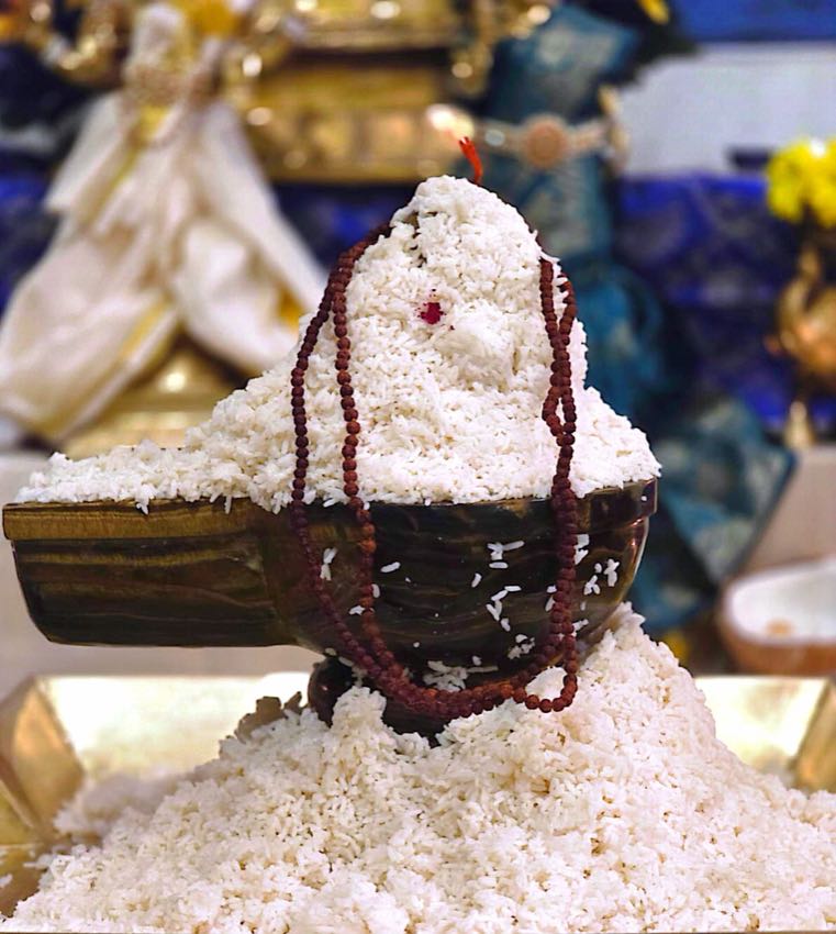 MAHANYASA PURVAKA EKADASA RUDRABHISHEKAM — photo 7 of 10