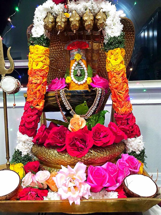 MAHANYASA PURVAKA EKADASA RUDRABHISHEKAM — photo 8 of 10