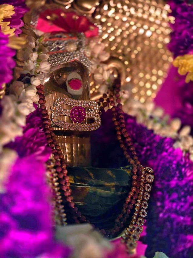 MAHANYASA PURVAKA EKADASA RUDRABHISHEKAM — photo 9 of 10