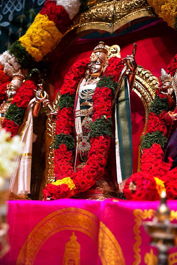 SRI SEETA RAMA KALYANAM (CELESTIAL WEDDING CEREMONY OF SEETA RAMA) — photo 9 of 10
