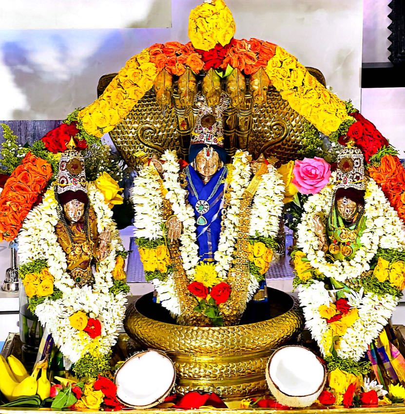 SRINIVASA KALYANAM (CELESTIAL WEDDING CEREMONY) — photo 4 of 10