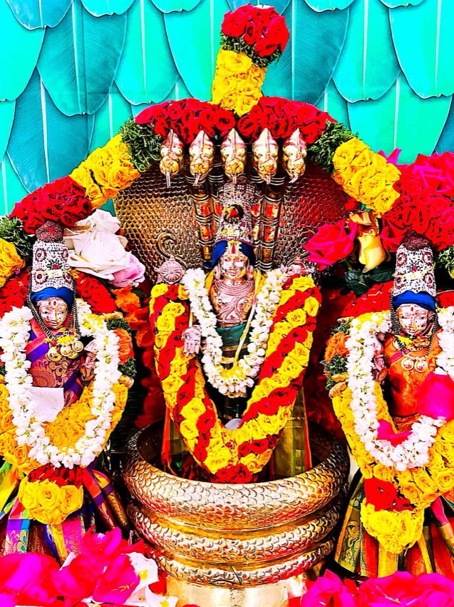 SRINIVASA KALYANAM (CELESTIAL WEDDING CEREMONY) — photo 9 of 10
